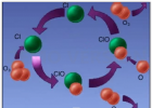 Ozone Layer and it's Depletion [Animation] | Recurso educativo 725092