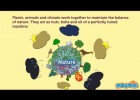 What is Biodiversity? | Recurso educativo 725323