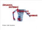Órganos e aparellos en animais | Recurso educativo 726444
