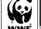 WWF Footprint Calculator | Recurso educativo 66280