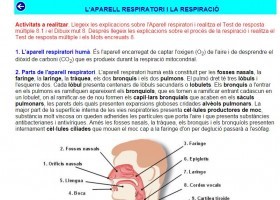 Aparell respiratori humà | Recurso educativo 736777