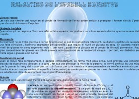 Malalties de l'aparell excretor | Recurso educativo 736780