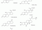 Les biomolècules orgàniques | Recurso educativo 746804