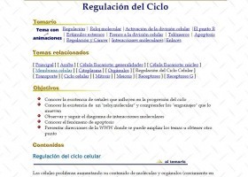 Regulación del ciclo celular | Recurso educativo 755668