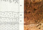 La geologia del sòl | Recurso educativo 759670