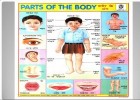 EX 32 Parts of the body and actions SM | Recurso educativo 763930