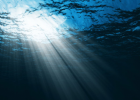 Oceanography Facts | Recurso educativo 727117