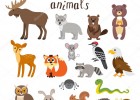 Animais do bosque | Recurso educativo 769251