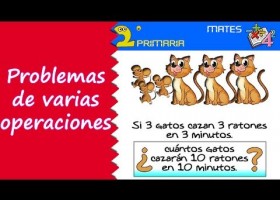 Problemas de varias operaciones | Recurso educativo 771639