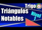 Triángulos Notables - Ejercicios Resueltos - Nivel 1 | Recurso educativo 772035