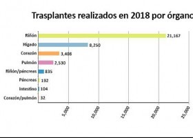 Gráfico de trasplantes por órgano (2018) | Recurso educativo 776518