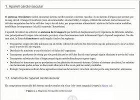 L'aparell cardiovascular | Recurso educativo 760505