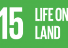 SDG 15. Life on land | Recurso educativo 783874