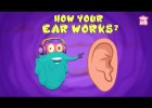 How Your Ear Works? - The Dr. Binocs Show | Best Learning Videos For Kids | | Recurso educativo 787806