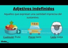 Los adjetivos | Recurso educativo 787892