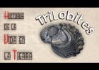 Trilobites | Recurso educativo 788411