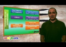 Microorganismos que causan enfermidades. | Recurso educativo 7901616