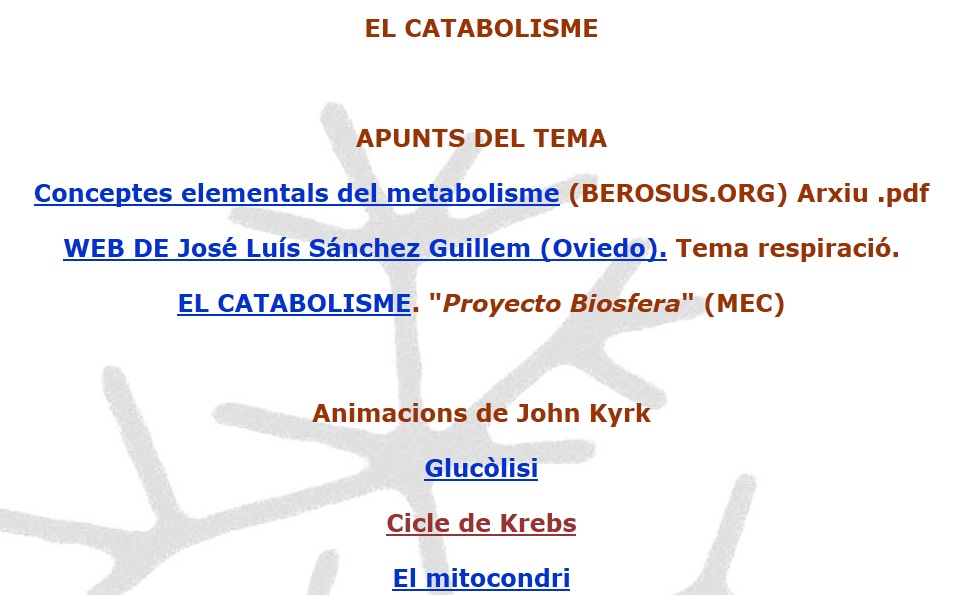 Catabolisme | Recurso educativo 47282