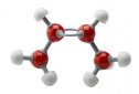 Las biomoléculas | Recurso educativo 61637