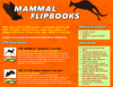 Mammal flipbooks | Recurso educativo 75438