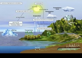 La hidrosfera | Recurso educativo 733371