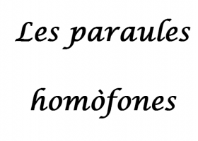 Les paraules homòfones | Recurso educativo 740143