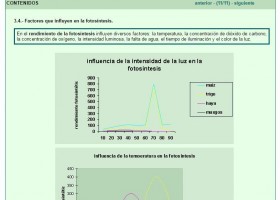 Factores de la fotosíntesis | Recurso educativo 755904