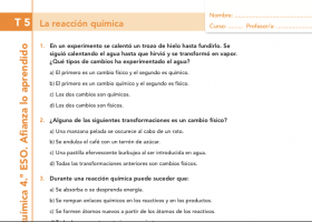 La reacción química | Recurso educativo 736959