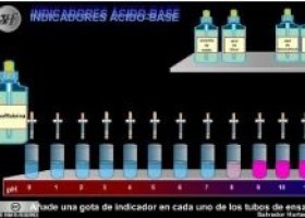 Indicadors àcid-base | Recurso educativo 760934